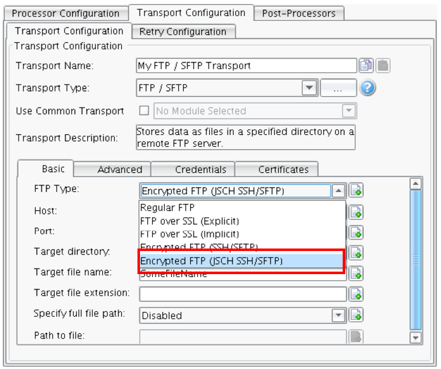 FTP Options for Interface Processing with PilotFish Software