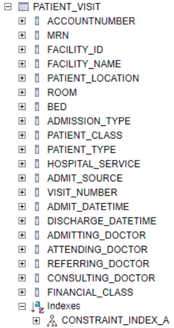 HL7 Patient Visit table example in H2 database