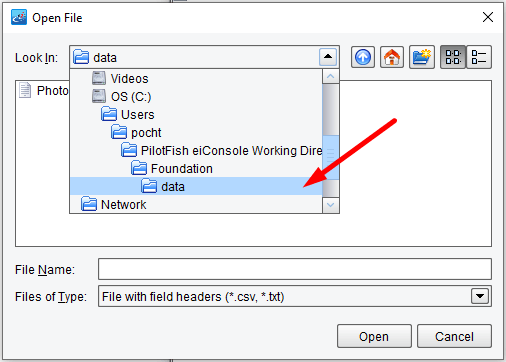 Select the File from the Directory.