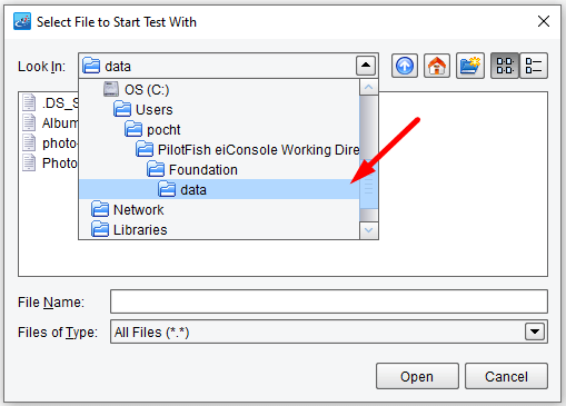 Select Data Test File to be used in Route or Interface Testing.