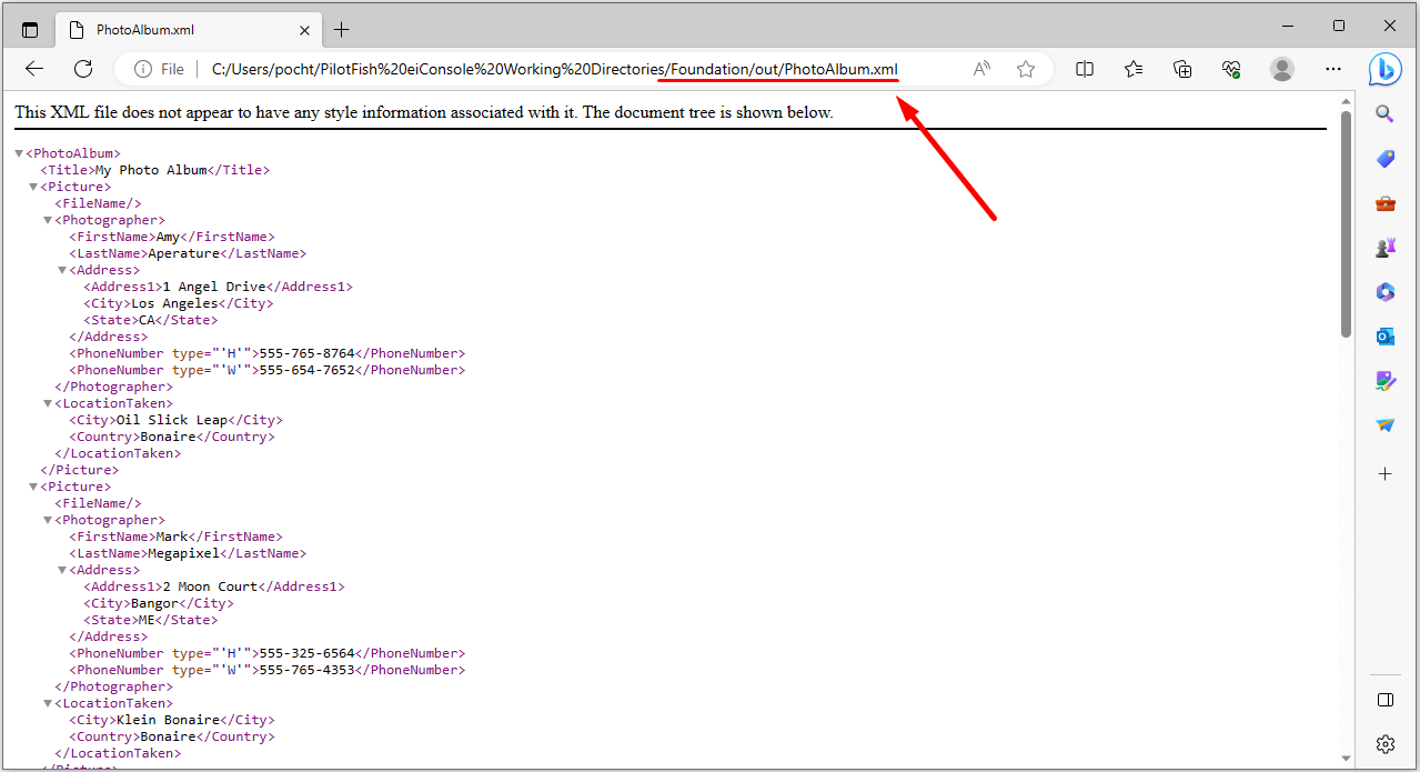 XML File Testing & Validation - View File in Directory