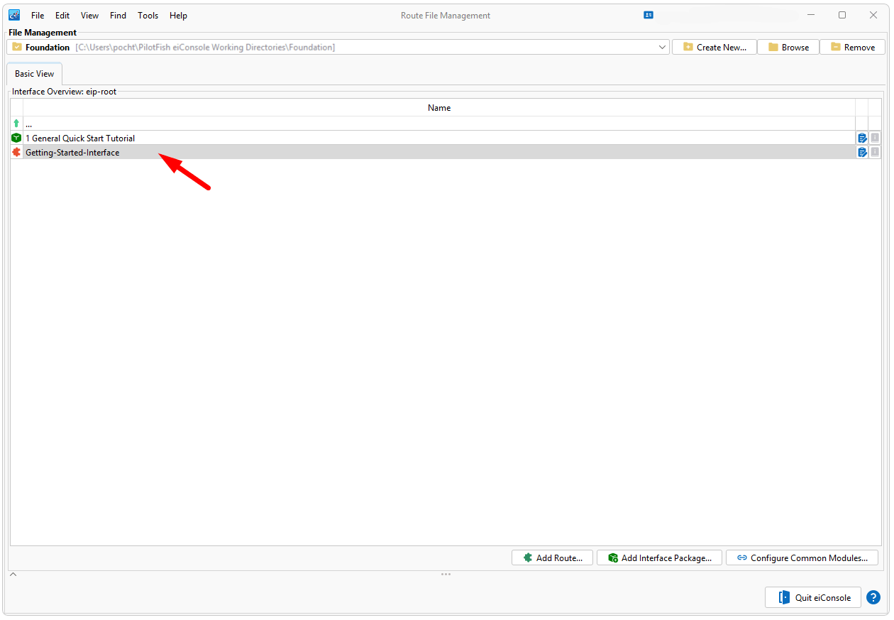 Interface Route Management Pilotfish